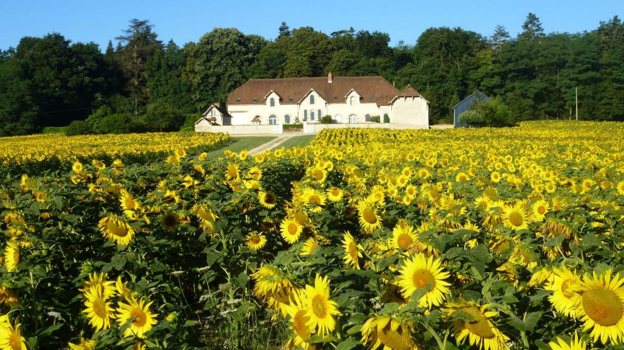 Domaine De La Maison Neuve Saint-Jean-Saint-Germain Exterior photo