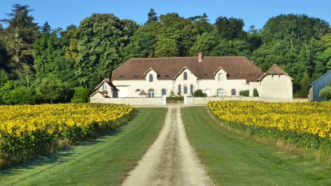 Domaine De La Maison Neuve Saint-Jean-Saint-Germain Exterior photo